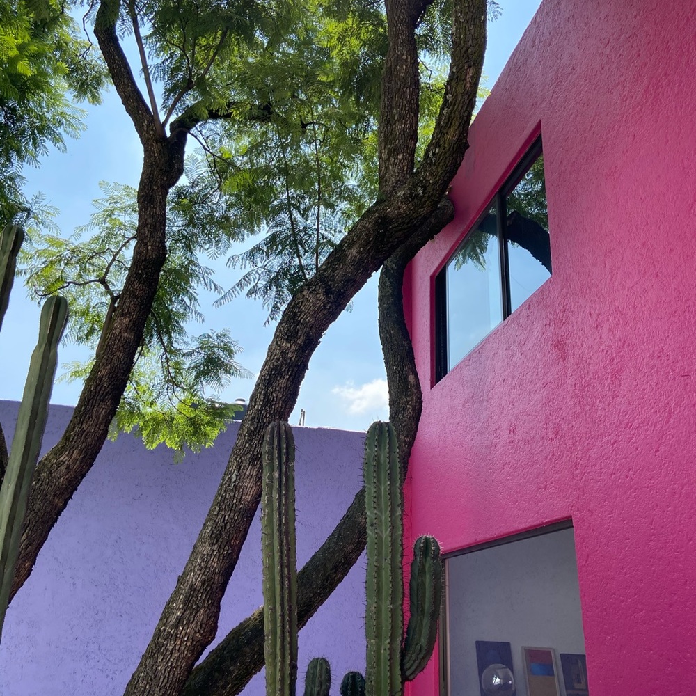 Meet your Posher, Isabella